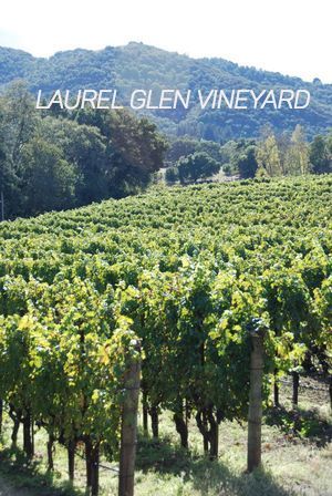 Laurel Glen Sonoma Mtn view 2